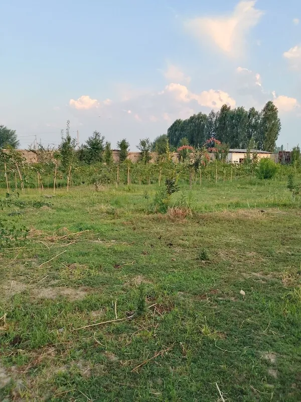 Ер сотилади 7500 евро — фото 2