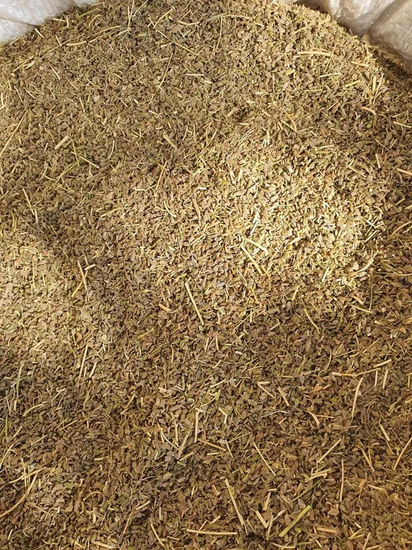 Sabzi uruģi sotiladi 2