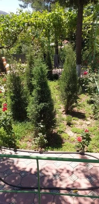 Дача в аренду (Чарвак, Эски бочка) 3