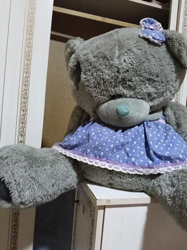 Teddy 2