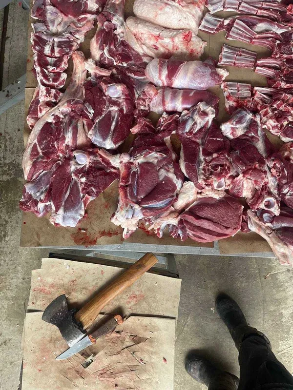 Profisional Qassoblik xizmati