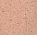 Linoleum lenolium — фото 2