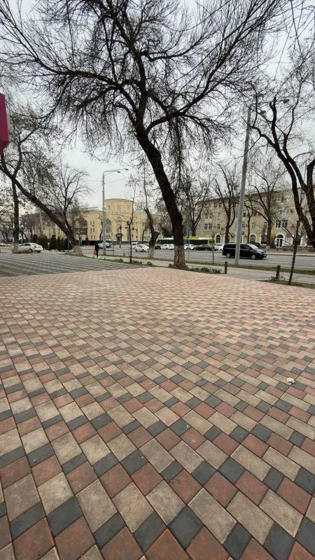 В центре города напротив урды сдаеться 200 кв нежилое помещения по 11$ 10