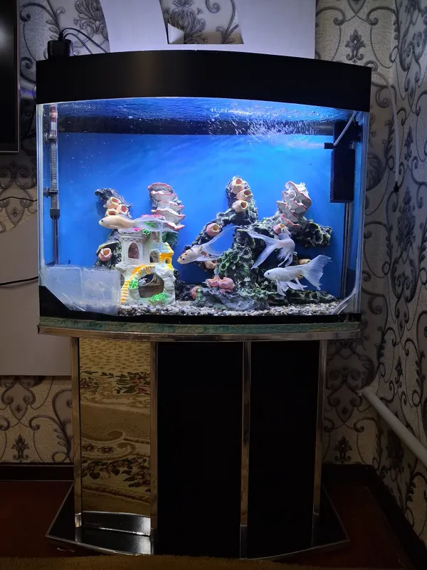 Akvarium 100l barcha aksseusar va jihozlari bilan. 1