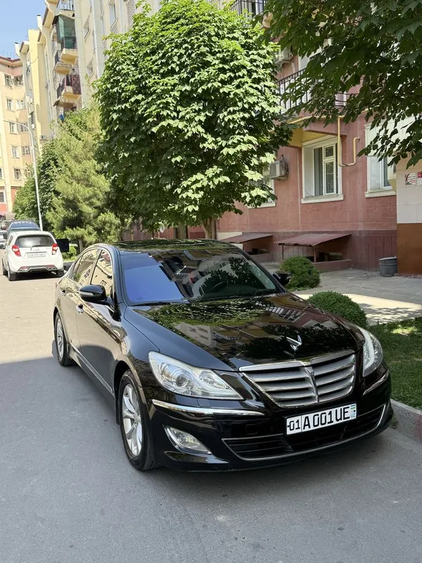 Genesis 3.8 Atmo Mator Luxury Korean Car