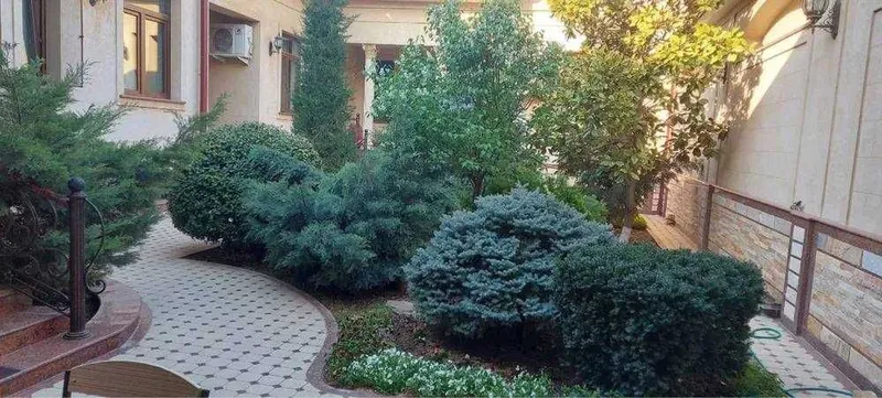 Сдаю Евродом 8-соток ул.Газалкентская бывшая Хусанбаева люксовый Лофт — фото 1 Сдаю Евродом 8-соток ул.Газалкентская бывшая Хусанбаева люксовый Лофт — фото 1