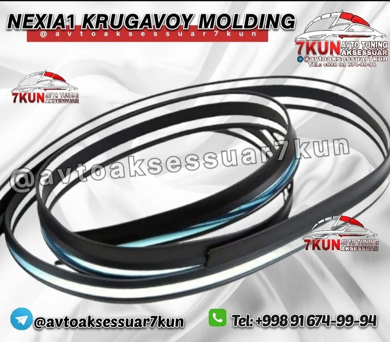 Nexia 1 molding — фото 1