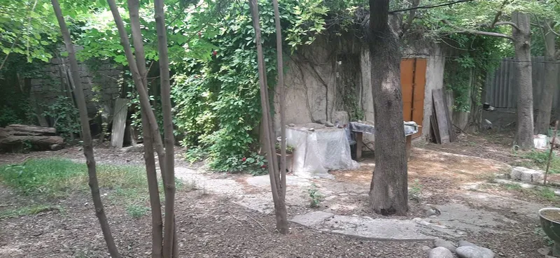 Улугбек дача — фото 4