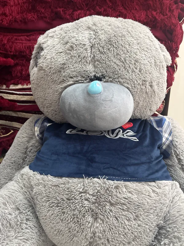 teddy ayiq 2 teddy ayiq 2