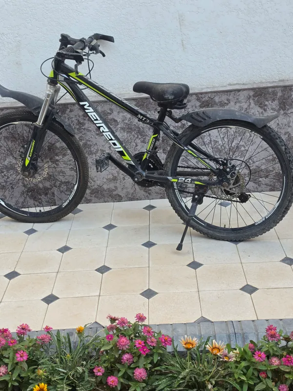 velosiped velosiped