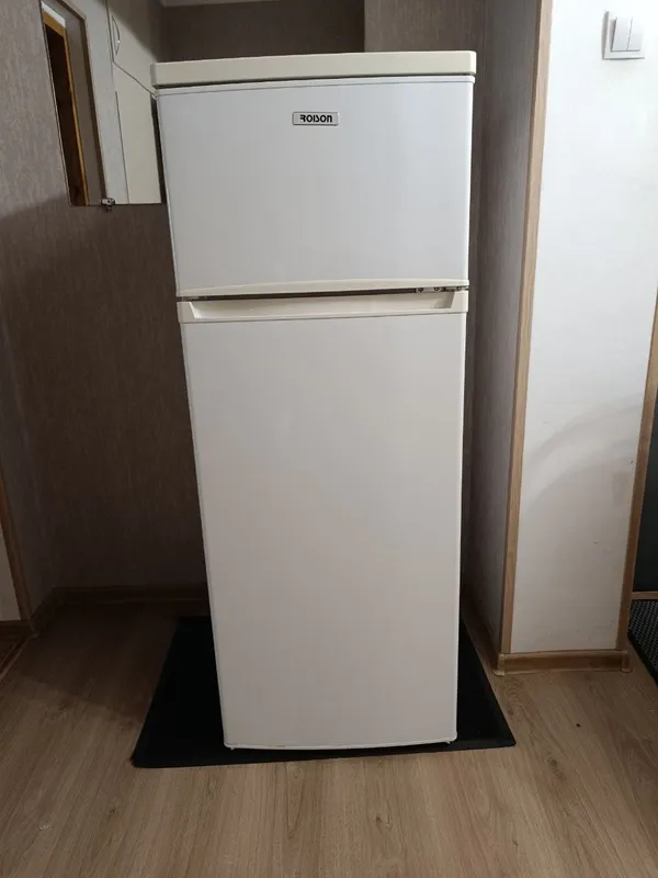 ROISON 212L muzlatkich 1