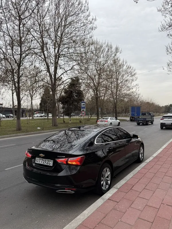 Malibu 2 2/4 полный Premier, до салона, наличными/в аренду 10 Malibu 2 2/4 полный Premier, до салона, наличными/в аренду 10