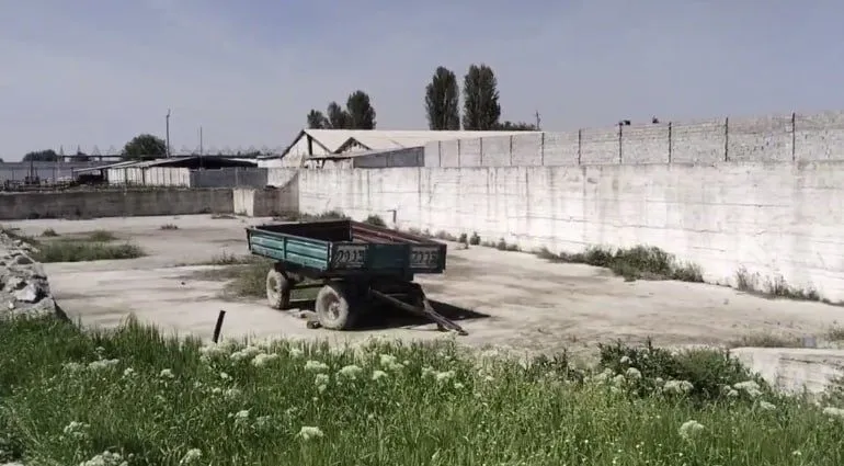 Срочно Продается Две Фермы Чирчик