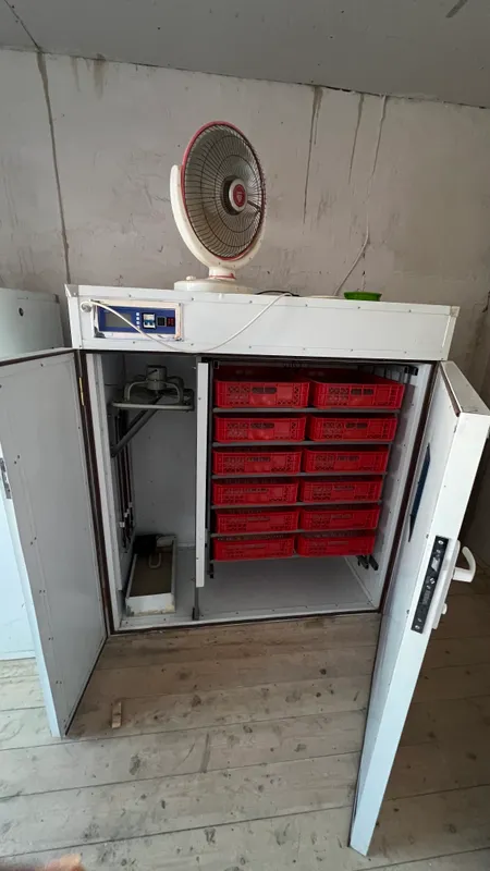 inkubator 1056 talik xitoy oxirgi aparati 1 inkubator 1056 talik xitoy oxirgi aparati 1