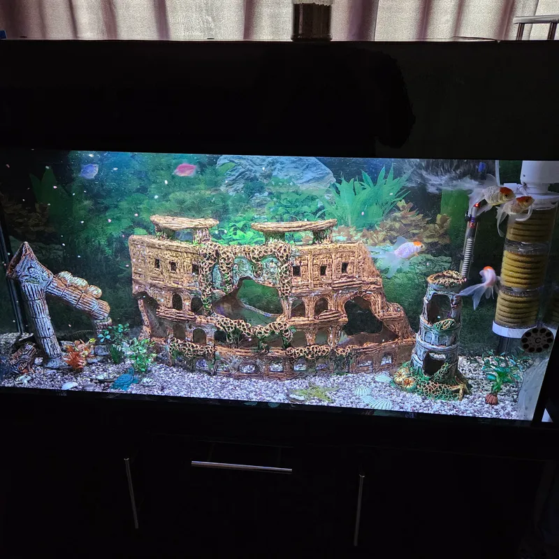 akvarium