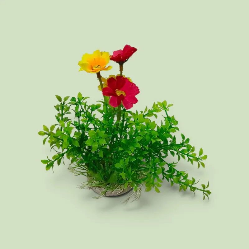 Faqat Akvarium uchun 4
