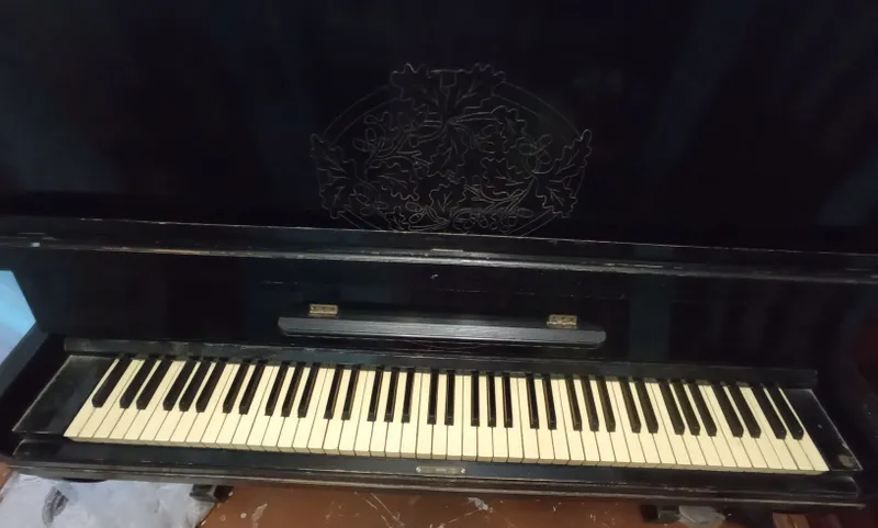 pianino shoshilinch sotaman 2