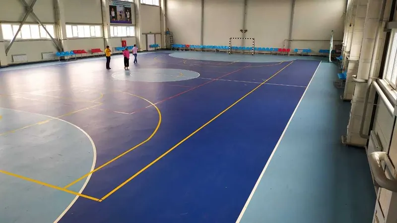 Спорт релин, линолеум спортивный, ПВХ 4,5мм - 6 мм 3