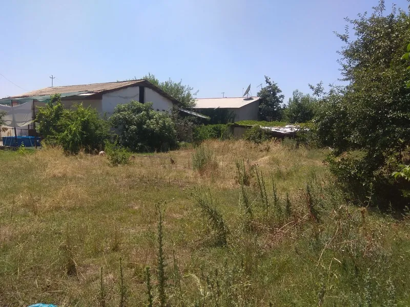 Yer sotladi sirochniy Yangi yol tumani 5.3 sotik 2