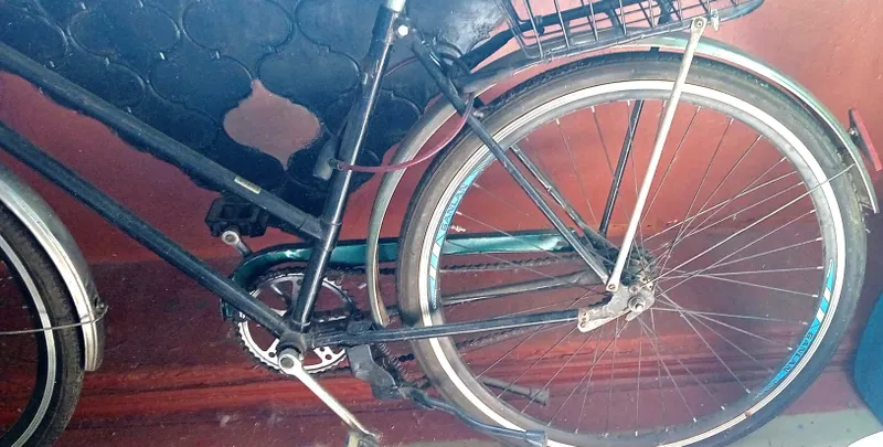 Ayollar ramkali, a’lo holatdagi Ural velosipedi 4