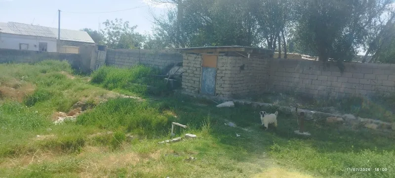 Navoiy viloyati Navbahor tumani Beshrabot kuchasi 5 Navoiy viloyati Navbahor tumani Beshrabot kuchasi 5