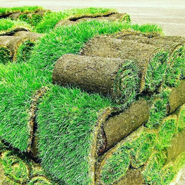 газон урнатиш хизмати — фото 3