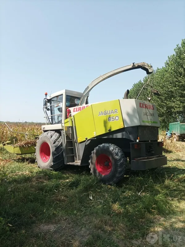yaguar 850xolati sezonga tayyor2001yil 2 yaguar 850xolati sezonga tayyor2001yil 2