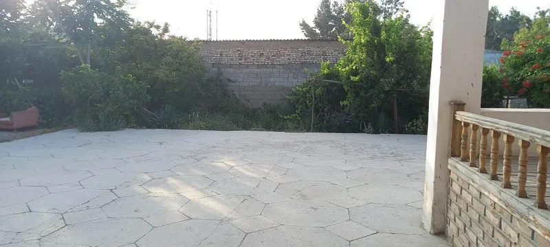 Narpay sentrda xovli sotiladi 4