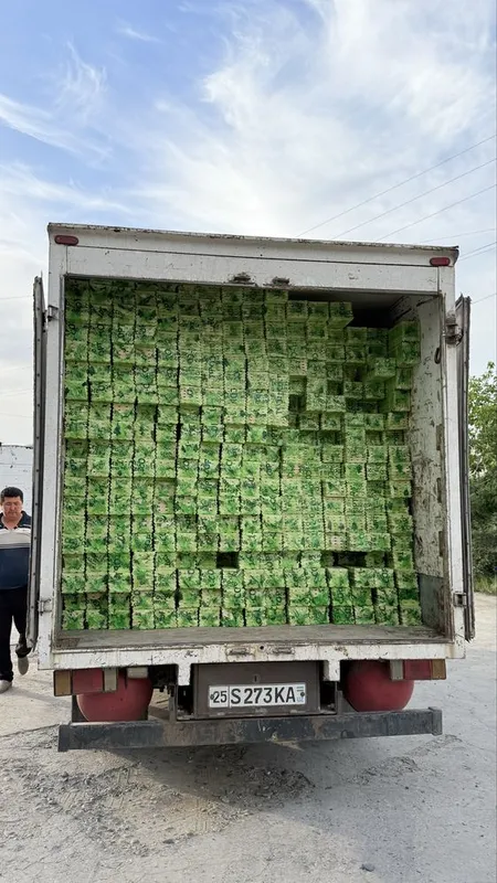 Pol taxta samarkand optom kvd 90mingdan boshlanadi — фото 3