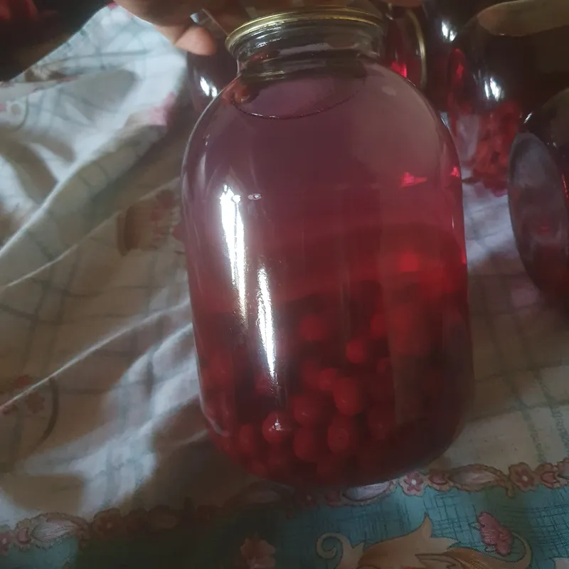 olchali kompot 2 olchali kompot 2