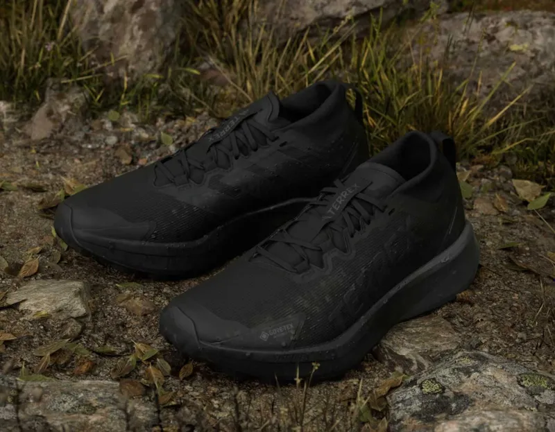 Непромокаемые Adidas Terrex Agravic GTX оригинал, new EUR 44 — фото 1
