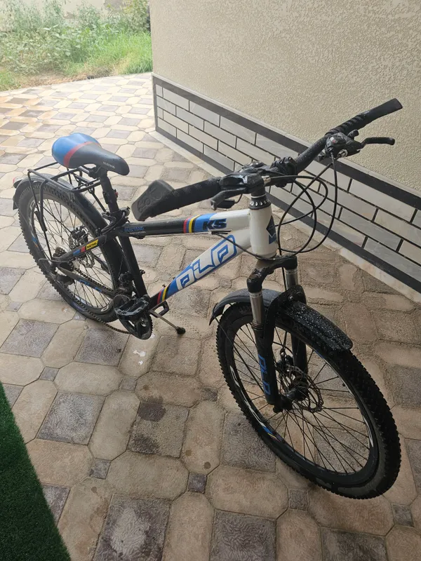 skorsli velasaped holati ideal 8 oy boldibolganmga