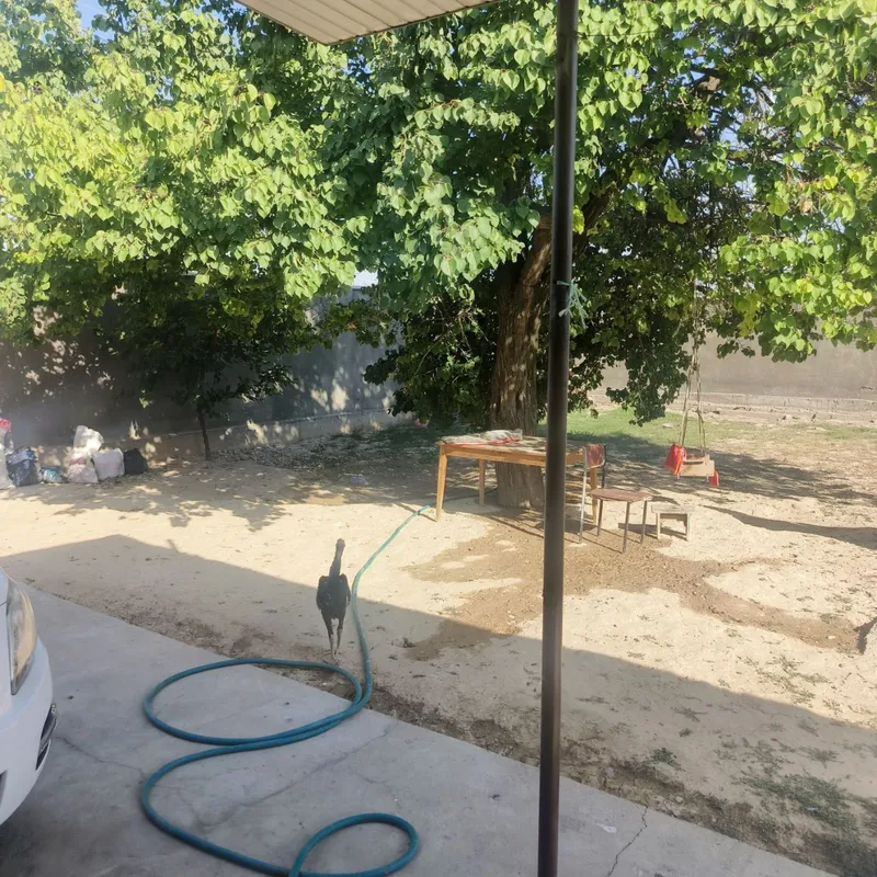 Uy sotiladi Chirchiq shaxri oqqavoq 5 xona 2 sanuzeli bor — фото 4