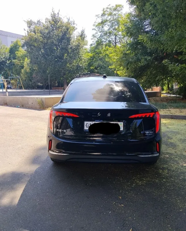 hongqi e-qm5 610 tali 2 hongqi e-qm5 610 tali 2