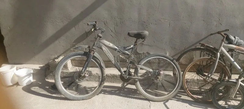 Velosipedlar sotiladi optom 3