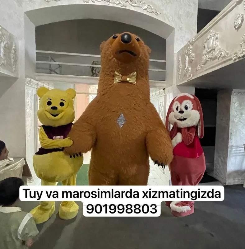Ayiqlar Katta va kichik ayiqlar tuy va marosimlarda xizmatingizda 1 Ayiqlar Katta va kichik ayiqlar tuy va marosimlarda xizmatingizda 1