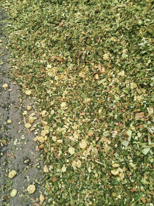 Qoplangan seloslar sotiladi 20 kglik 6 Qoplangan seloslar sotiladi 20 kglik 6
