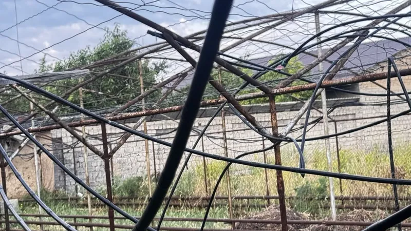 Tiplitsa temir turubas sotiladi 1 Tiplitsa temir turubas sotiladi 1