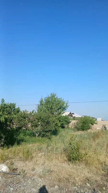 Ассалому Алайкум янги чек сотилади 1 Ассалому Алайкум янги чек сотилади 1