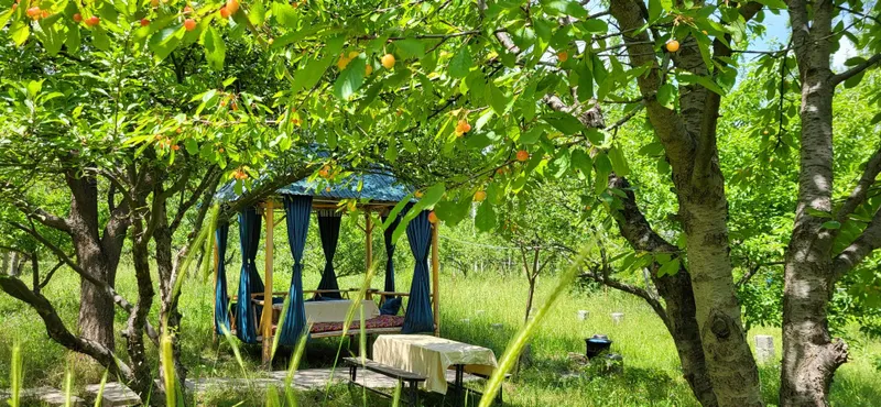 Продаётся готовый бизнес в горах! Уникальная возможность приобрести д — фото 4