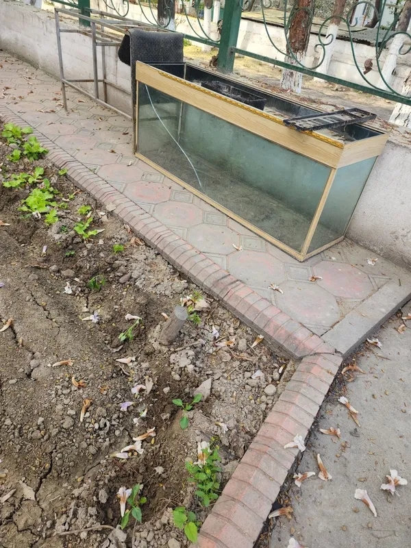 Аквариум большой