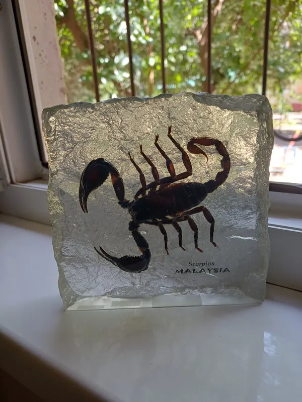 “Malayziya suvenir chayon, original souvenir,