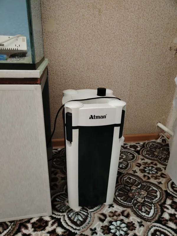 Arman tashqi filtri, 4 ta savat Arman tashqi filtri, 4 ta savat