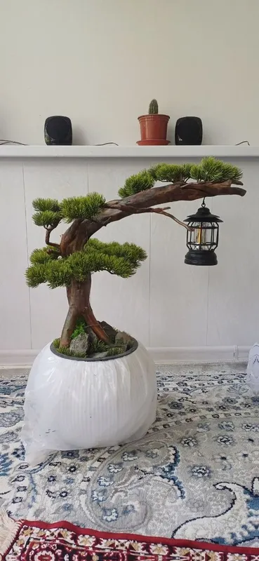 Decor sunniy gullar