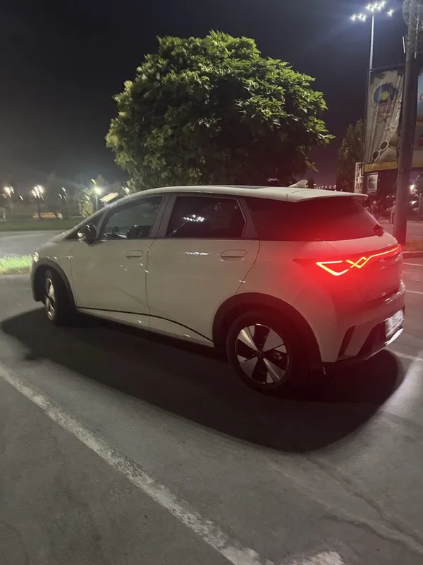byd dolphin панарама 360 byd dolphin панарама 360