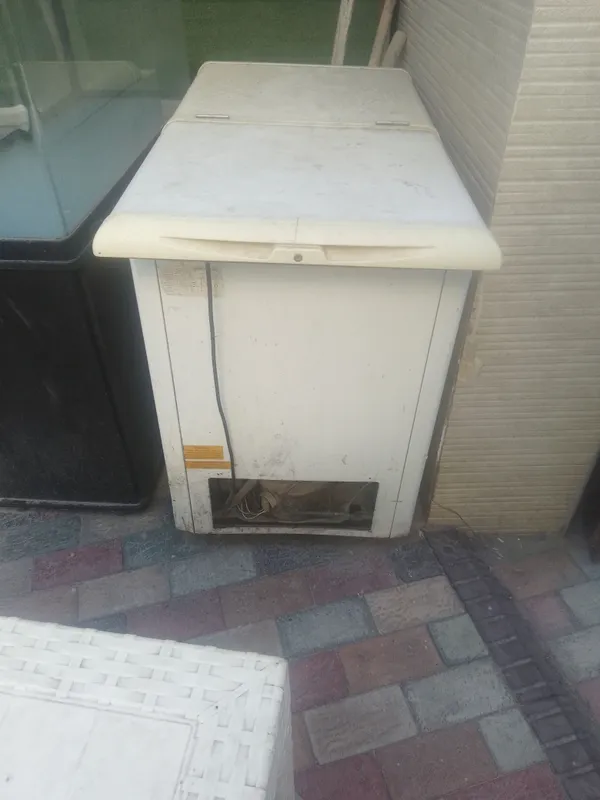 marazelka katasidan marowni un