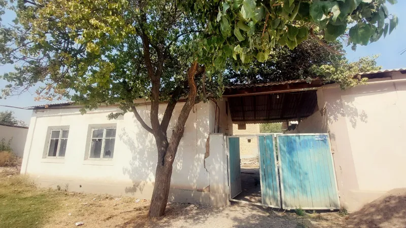 3 Sotik Uy Sotiladı