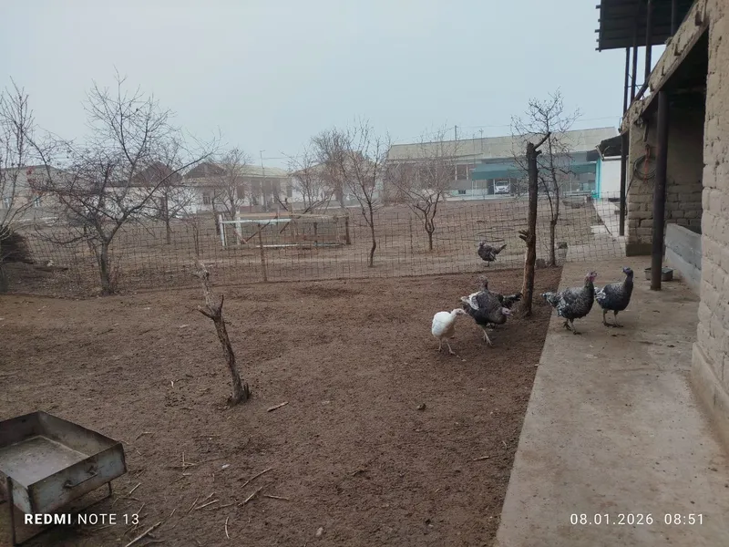 земля под строительство