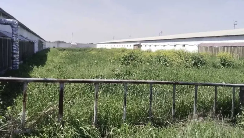 Продаются две фермы в Юкори чирчикском р-не (Ободон) 2,2га+1,02га — фото 9