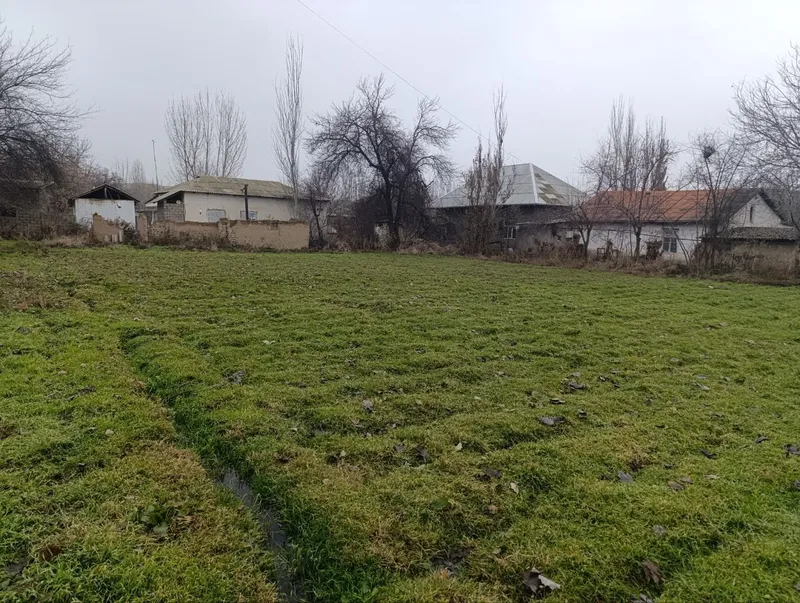 Бўш жой 12 сотих